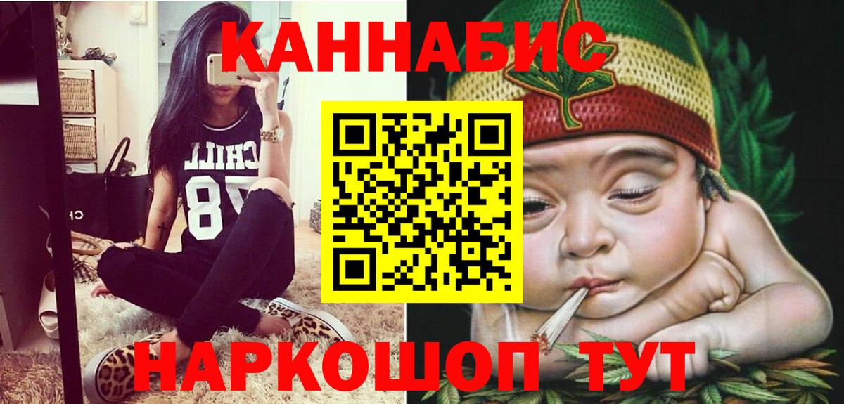 Каннабис сатива Грозный